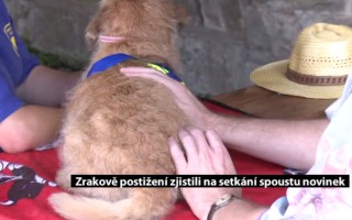 Canisterapie CANTES v krajích ČR jako sociální rehabilitace