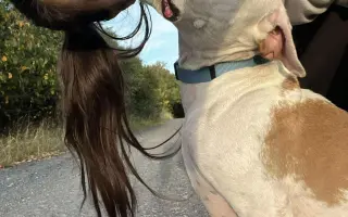 Šmudlina se rozšiřuje - pátá etapa