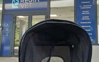 Devět životů pro Kočku