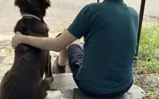 Na léčbu Ladynky