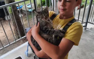 Léčba čtyřnohé kamarádky mého syna