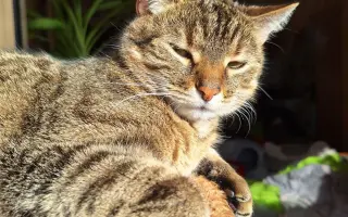 8 nalezených Lásek