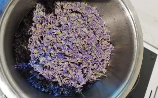 Podpořte bylinkový projekt Azeret Herbs