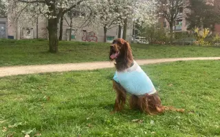 Pomohli jste Elišce Else na léčbu osteosarkomu