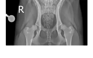 Ari přežila poušť. Teď ji ničí bolest...