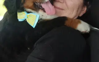 Pomozte Hubertovi chodit konečně bez bolesti ❤️