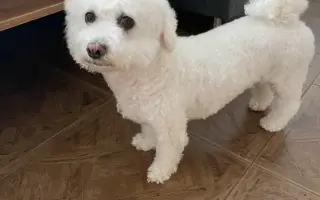 Pomozte nám zachránit naši Elinku