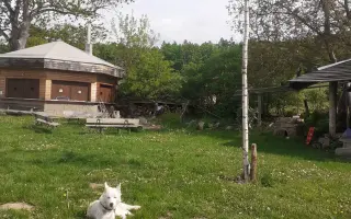 Pomoc pro Neepse - náklady na léčbu a operaci nohy