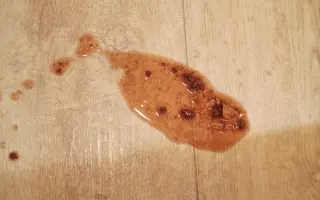 9 nalezených Lásek