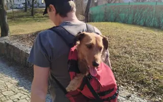 Zachraňme Mejlíkovi nožičku ❤️