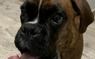 Pomozte Baronovi vyhrát boj s rakovinou