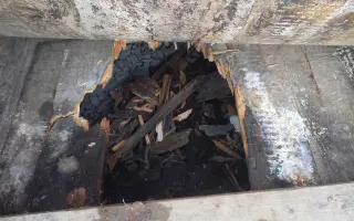 Pomozme paní Jančové a útulku Konec Toulání