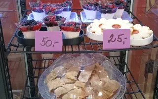Pojďme dát kočičkám druhou šanci, obnovme kočičí kavárnu café & bar Šťastné tlapky