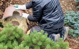 POMOC PRO FOXÍČKA, ASPENA A TAFFY-JACKA