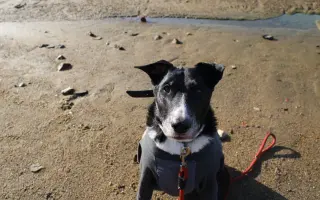 Zázrak pro Enie – prosím, nenechte mě to vzdát