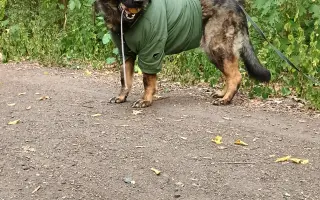 Léčba, která nekončí - Fůrie