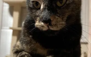 🐾 Pomozte Rozárce znovu se nadechnout 💔