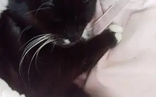 Pomohli jste Pinďovi k lepšímu životu