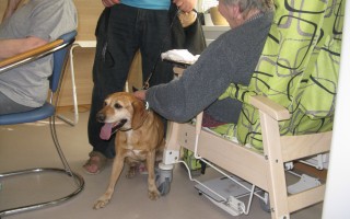 Canisterapie CANTES v krajích ČR jako sociální rehabilitace