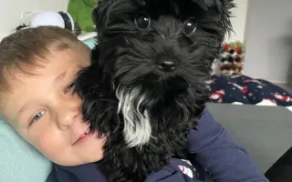 Pro Tobyho na veterinární péči a rehabilitace