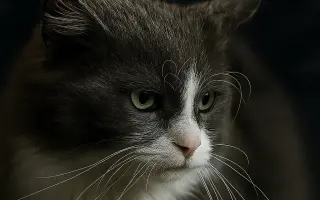 Rok 2025 je nejhorší za dobu fungování. POTŘEBUJEME POMOCI