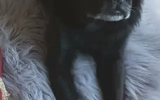 Pomozme Joeymu v boji s rakovinou.