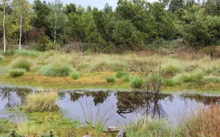 Právní a expertní obrana proti rizikové těžbě lithia v Krušných horách