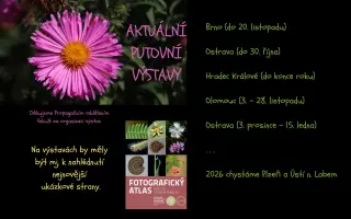 Fotografie všech českých rostlin v jedné KNIZE? Pojďme to dotáhnout! Fotografie všech českých rostlin v jedné KNIZE? Pojďme to dotáhnout!