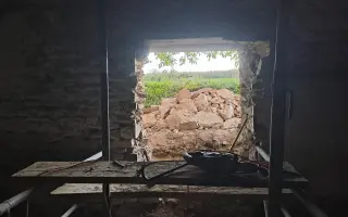 Postavme společně útulek pro kočky a psy