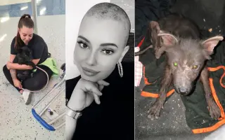 Ari přežila poušť. Teď ji ničí bolest...