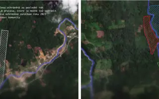 Amazonie volá o pomoc: zachraňme tisíce druhů zvířat a rostlin před těžaři