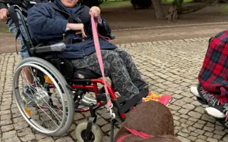 Pomozte Natce a její matce přestat se kácet