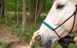 Lehký vozík pro syna Ondřeje, abychom  mohli zůstat v pohybu.