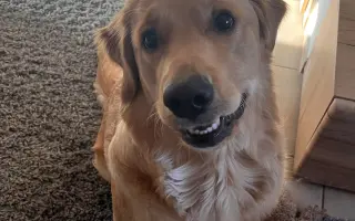 Malý Timmy si zaslouží život bez bolesti