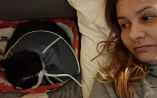 9 nalezených Lásek