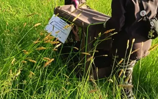 Mláďata na jaře, ostatní zvířata celoročně - ti všichni nás potřebují!