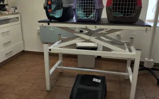 Pomoc pro opuštěná zvířátka - Kastrace, veterina, krmeni, kočkolit