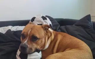 ...aby se Roxy mohla postavit bezbolestně na nohy