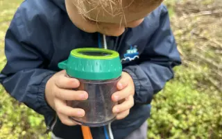 🌲 Pomozte nám dokončit náš sen – lesní školku pro děti 🌿