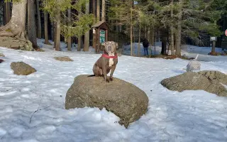 Pomozme Ele opět poznávat svět