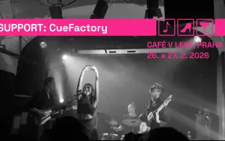 VEPŘOVÉ KOMETY: Buď s náma při porodu elpíčka