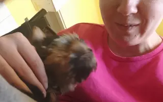 Pomoc pro maminku s Crohnovou nemocí