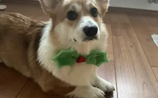 Pohyb pro malou Nami