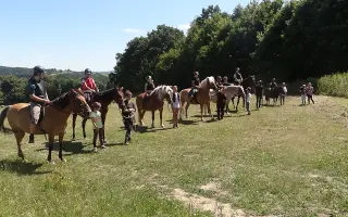 Podpořte koňácký kroužek pro děti a mládež