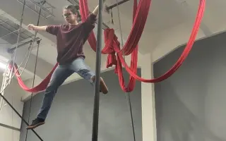 Circus pedagogy: a year to learn, a life to teach