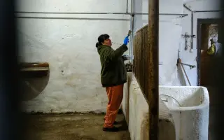 Pomozte nám postavit trojbox pro ustájení hiporehabilitačních koní DORADO z. s.