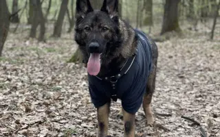 Léčba, která nekončí - Fůrie