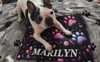 Zachráňte Marilyn bojující s rakovinou