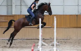 Pomozme Evikovi – parťákovi na celý život 🐴❤️