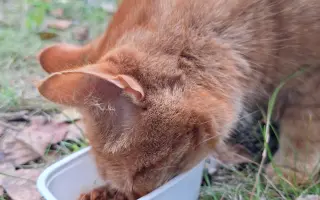 8 nalezených Lásek